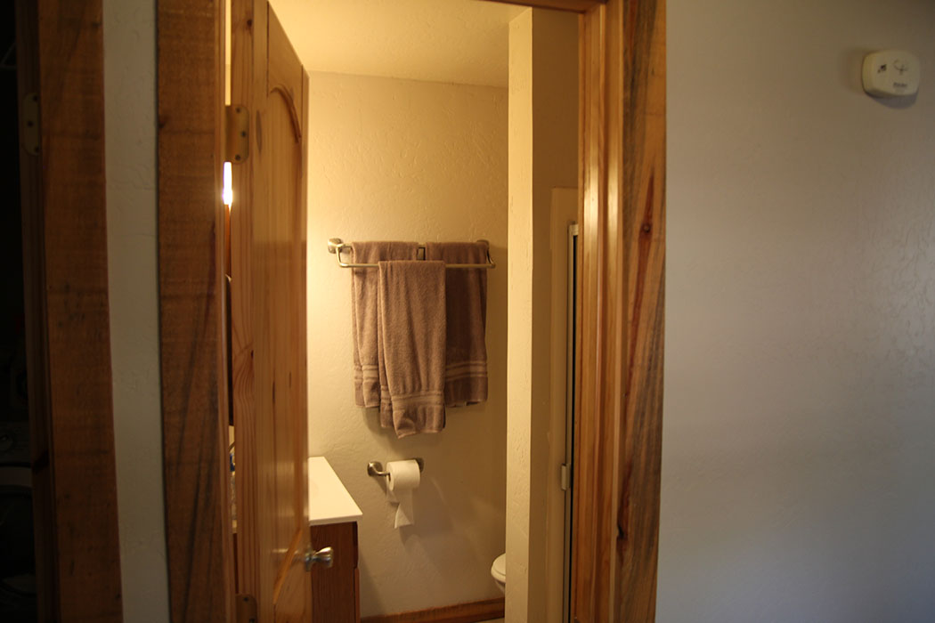 Maater bedroom bathroom with shower